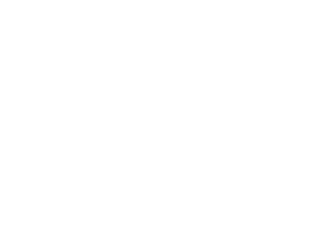RadDX Logo white_small