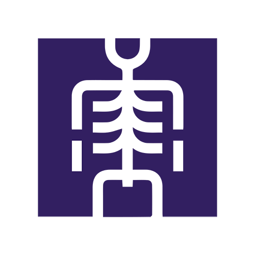 KSRAD _ Icons (purple) - BONE DENSITY copy